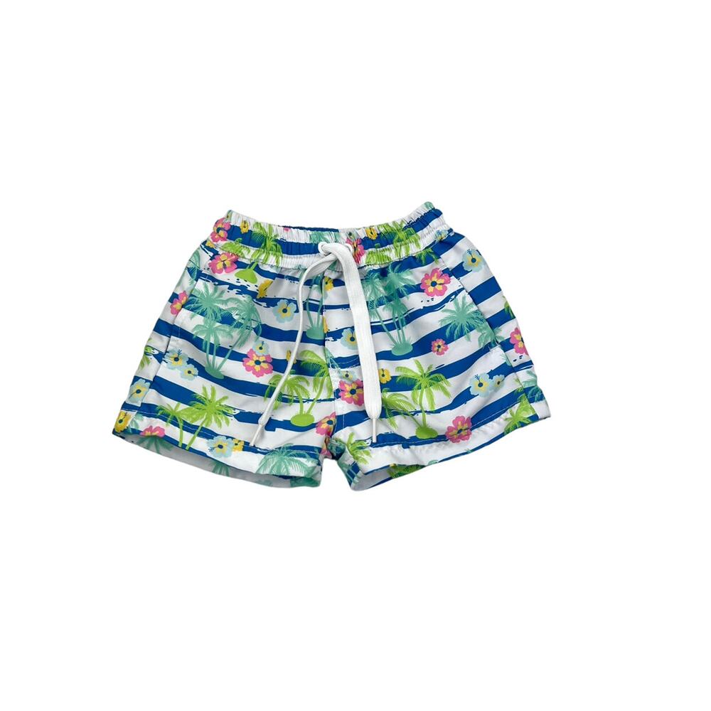Classic Whimsy Striped Tropical swim Shorts